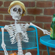 Skeleton Decorations Sale | Wayfair